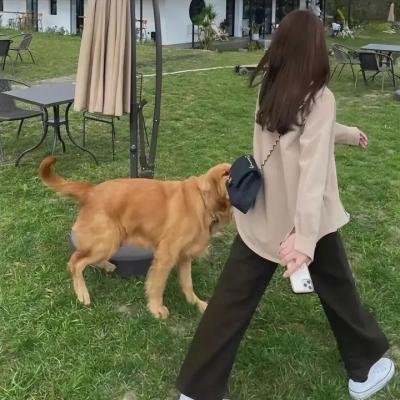 不可能完成的任务