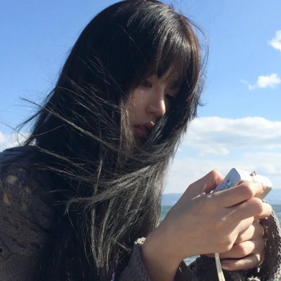 月季花开