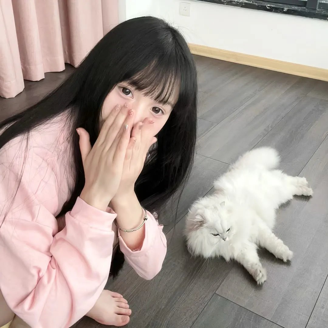 寻找多莉·帕顿